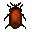 Cooked Dung Beetle