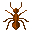 Cooked Fire Ant