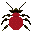 Crimson Tiger Beetle