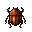 Cooked Scarab