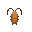 Cooked Sow Bug